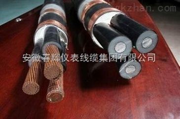 電力電纜有哪些型號(hào)規(guī)格yjv22電力電纜 安徽省著名產(chǎn)品 智能制造網(wǎng)